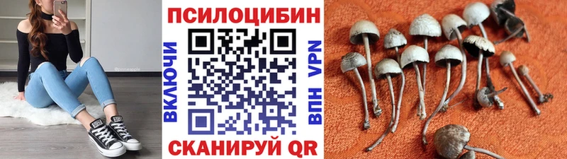 Галлюциногенные грибы мицелий  Сосновоборск 
